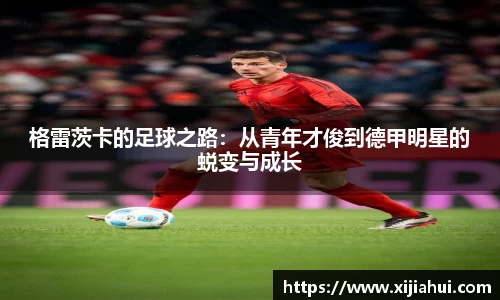 彩神vll首页