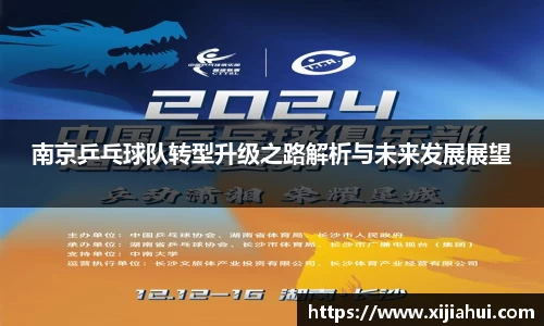 南京乒乓球队转型升级之路解析与未来发展展望